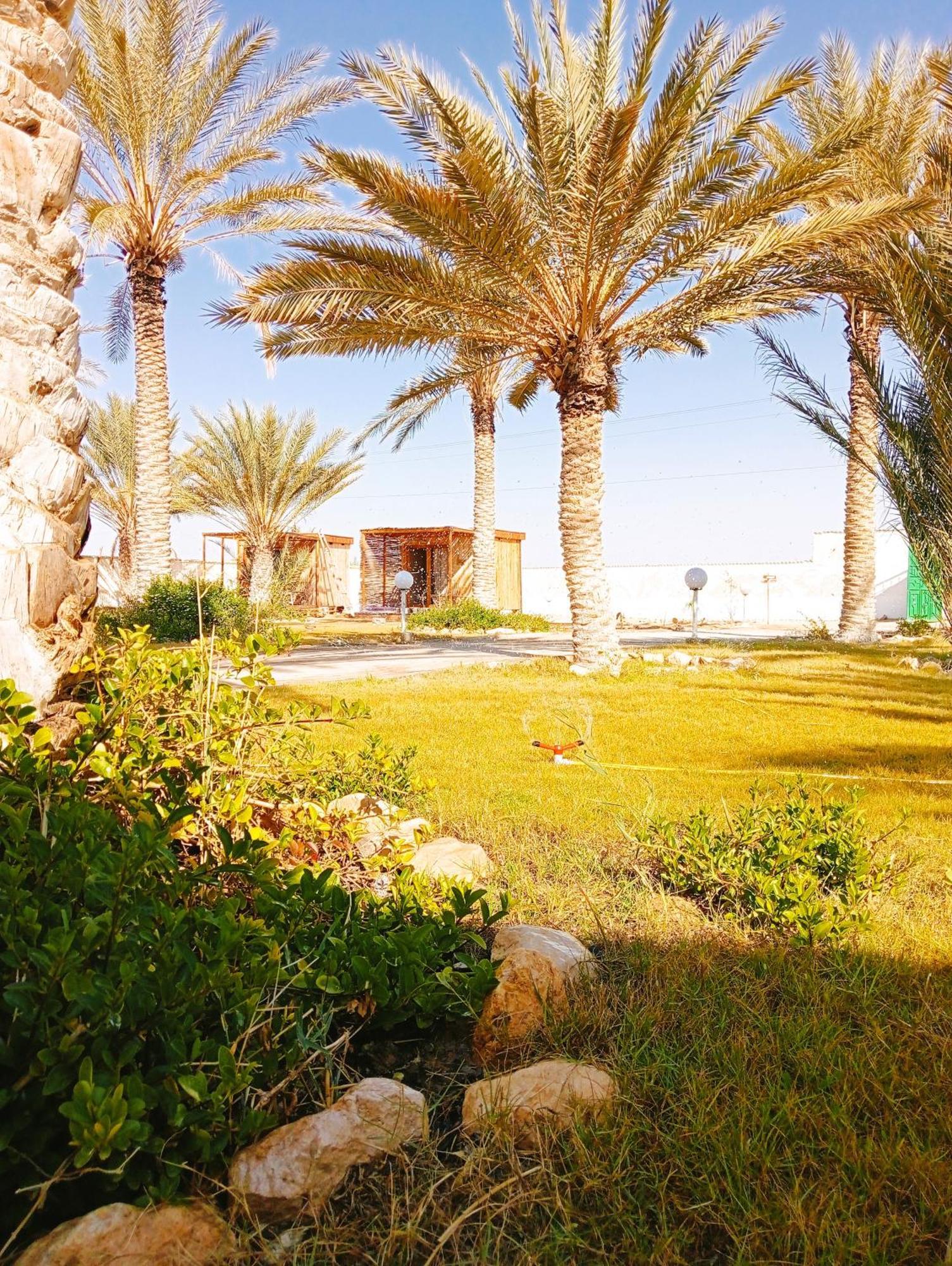 Garden12 Outdoor & مكان تخييم دوز