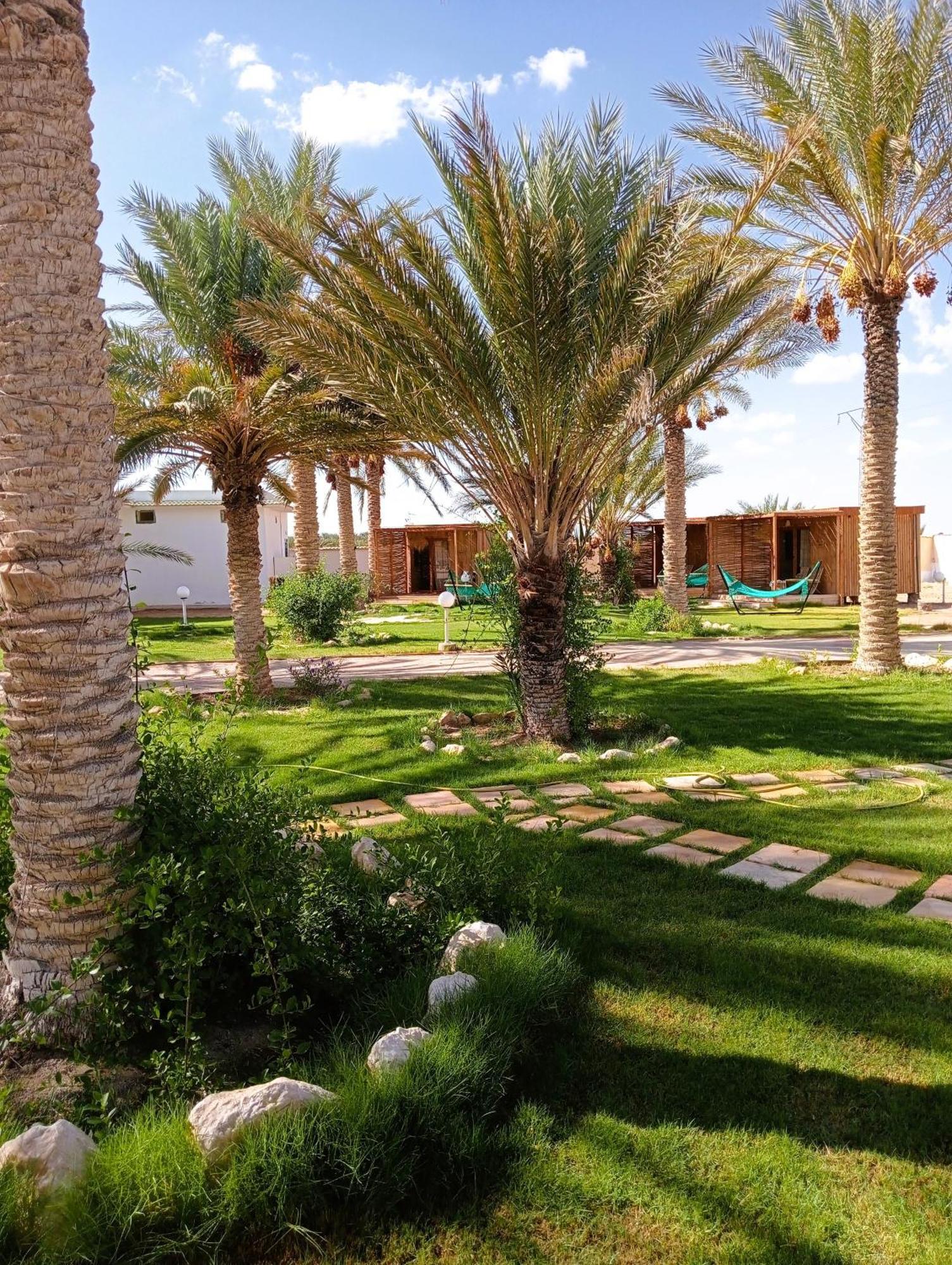 مكان تخييم Garden12 Outdoor & *