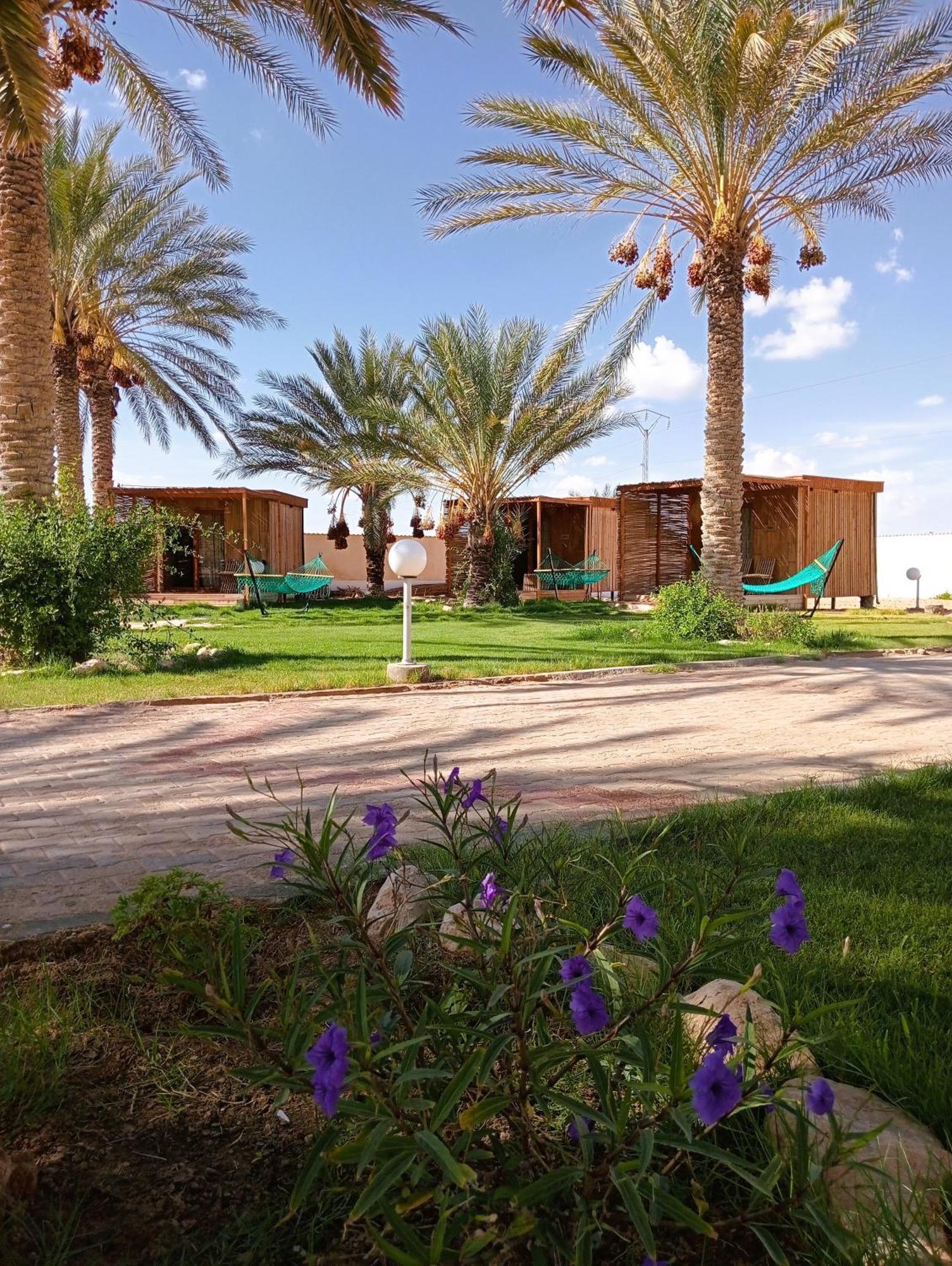 Garden12 Outdoor & دوز
